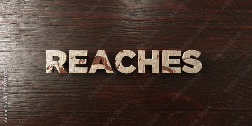 Fototapete reaches - grungy wooden headline on maple - 3d rendered royalty free stock image. this image can be 