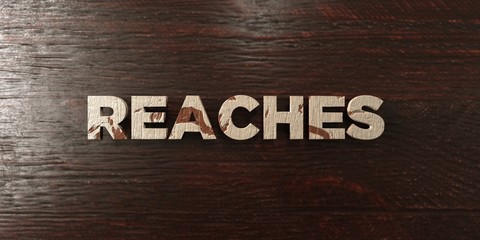 Reaches - grungy wooden headline on Maple  - 3D rendered royalty free stock image. This image can be used for an online website banner ad or a print postcard.