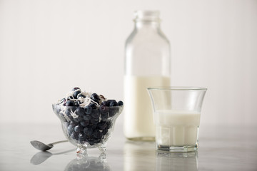 Fototapeta na wymiar Bowl of Blueberries and Glass of White Milk
