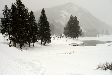 Yellowstone Winter Snow