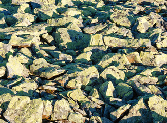 Slide-rocks background.