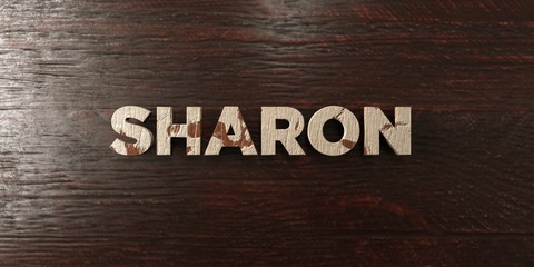Sharon - grungy wooden headline on Maple  - 3D rendered royalty free stock image. This image can be used for an online website banner ad or a print postcard.