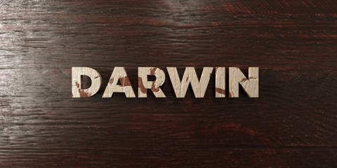 Darwin - grungy wooden headline on Maple  - 3D rendered royalty free stock image. This image can be used for an online website banner ad or a print postcard.