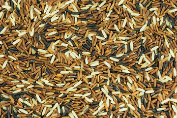 brown rice thai background