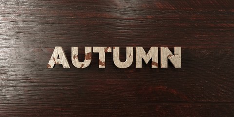 Autumn - grungy wooden headline on Maple  - 3D rendered royalty free stock image. This image can be used for an online website banner ad or a print postcard.