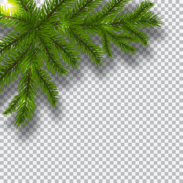 Green branches of a Christmas tree on a checker background. Corner with shadow. Christmas decorations. illustration