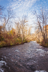 Autumn Leaves Along Minnehaha Creek in Minneapolis 2