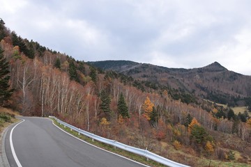 牧場/山田牧場の晩秋と冬の始まりの風景