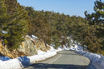Winter road in Troodos mountains, Cyprus