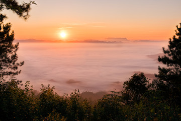 Fototapeta na wymiar Fog in mountains. Fantasy and nature landscape. Nature conceptual image.