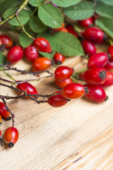 Medicinal plants and herbs composition: Dog rose, bunch branch Rosehips, Different types Rosa canina hips 