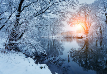 Fototapeta premium Beautiful winter in forest on the river at sunset. Winter landscape. Snowy branches on trees, beautiful river with reflection in water, sun and blue sky. Seasonal background. Frosty cold evening