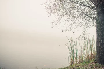 Zelfklevend Fotobehang On the bank of a river in the fog © SunGod