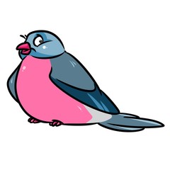 Bird bullfinch cartoon illustration isolated image animal character