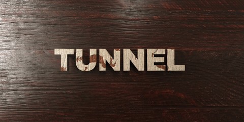 Tunnel - grungy wooden headline on Maple  - 3D rendered royalty free stock image. This image can be used for an online website banner ad or a print postcard.