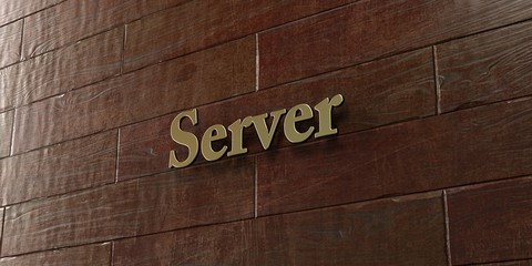 Server - Bronze plaque mounted on maple wood wall  - 3D rendered royalty free stock picture. This image can be used for an online website banner ad or a print postcard.