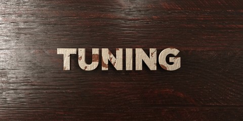 Tuning - grungy wooden headline on Maple  - 3D rendered royalty free stock image. This image can be used for an online website banner ad or a print postcard.