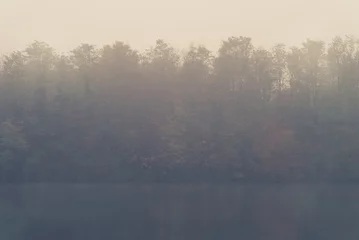 Foto auf Acrylglas Quiet river and vegetation in the fog © SunGod