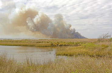 Wildfire in the Bayou