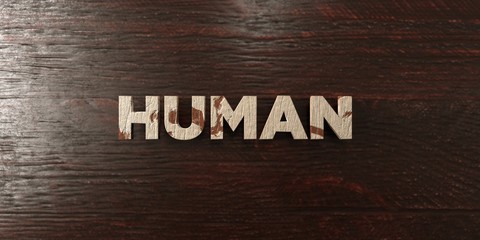 Human - grungy wooden headline on Maple  - 3D rendered royalty free stock image. This image can be used for an online website banner ad or a print postcard.