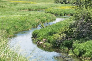 Curvy Creek