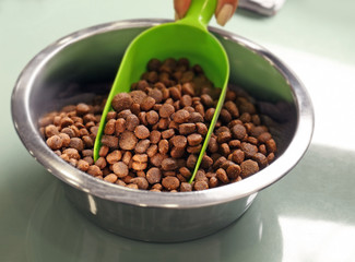 Metal bowl with dry pet food and plastic scoop, close up view