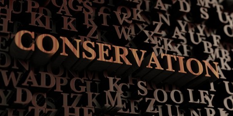 Conservation - Wooden 3D rendered letters/message.  Can be used for an online banner ad or a print postcard.