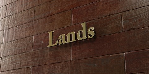 Lands - Bronze plaque mounted on maple wood wall  - 3D rendered royalty free stock picture. This image can be used for an online website banner ad or a print postcard.