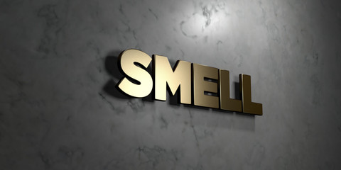 Smell - Gold sign mounted on glossy marble wall  - 3D rendered royalty free stock illustration. This image can be used for an online website banner ad or a print postcard.