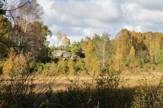 Pond in Sweden in early autumn