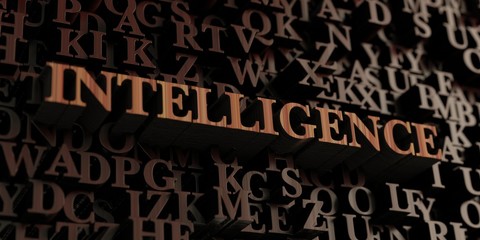 Intelligence - Wooden 3D rendered letters/message.  Can be used for an online banner ad or a print postcard.