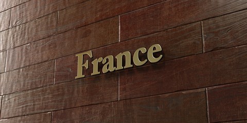 France - Bronze plaque mounted on maple wood wall  - 3D rendered royalty free stock picture. This image can be used for an online website banner ad or a print postcard.