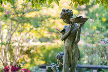 Central Park, New York City Burnett Memorial fountain in summer with water lily