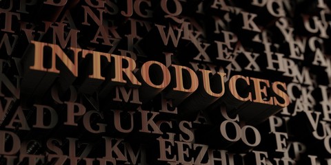 Introduces - Wooden 3D rendered letters/message.  Can be used for an online banner ad or a print postcard.