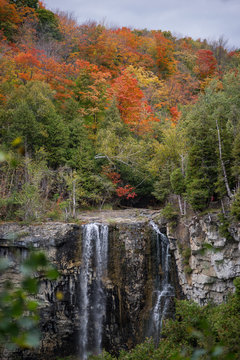 Waterfall with colorful autumn woods above it. Eugenia Falls, Beaver Valley, Ontario