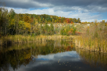 Fototapeta na wymiar Autumn parkland featuring a sun-lit pond, vivid fall colors on trees and bright blue sky.