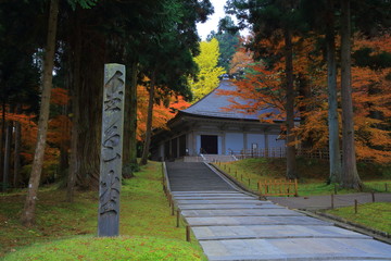 世界遺産　平泉　中尊寺の紅葉