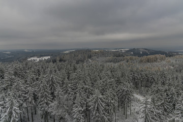 Snow forest from Krudum observation tower