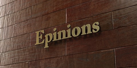 Epinions - Bronze plaque mounted on maple wood wall  - 3D rendered royalty free stock picture. This image can be used for an online website banner ad or a print postcard.