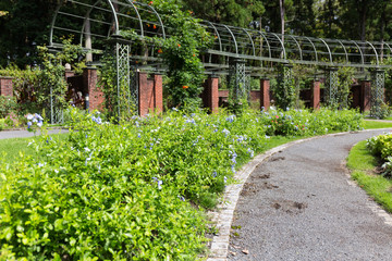 イングリッシュガーデン