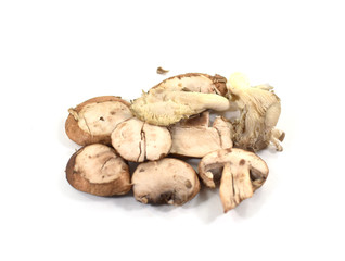 Sliced raw fresh crimini and oyster mushrooms