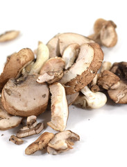 Sliced raw fresh crimini and oyster mushrooms