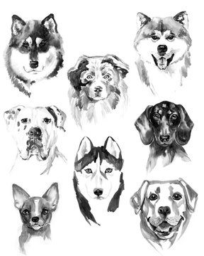 Watercolor dogs set on white background