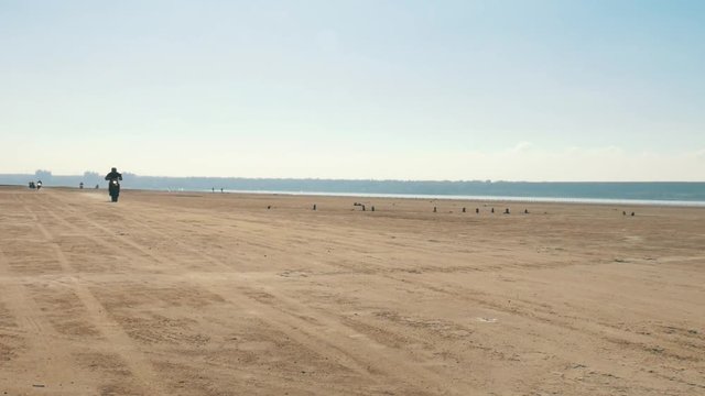 Many motorcyclists riding along the sandy beach from far away. Bikers column ride a motorcycle through the desert. Chopper near the shore of the river, sea, lake, ocean. Front shot, back light.