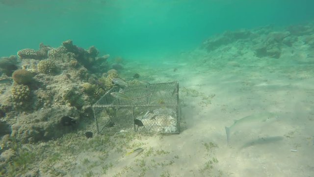 Environmental damage illegal fish net trap in sea, 4k
