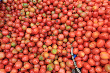 fresh tomatoes selling at the vegetable market