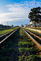 Fototapeta premium old iron rails with green grass