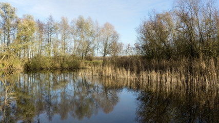 Fototapeta na wymiar Kleiner Teich im Herbst