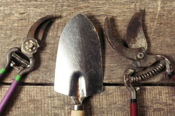 composition of garden tools