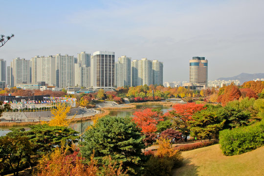 city tower building from a park / A view of city tower building from a park in Seoul Korea